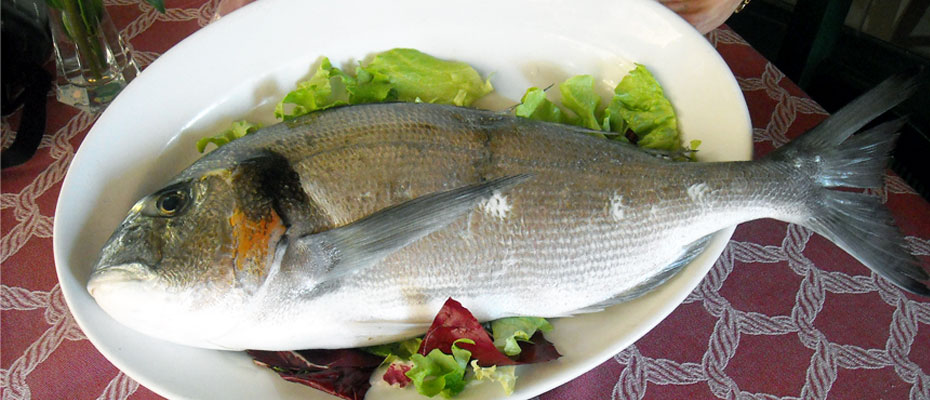 Cinque Terre italian restaurant fish